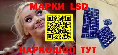 прущие грибы Краснознаменск