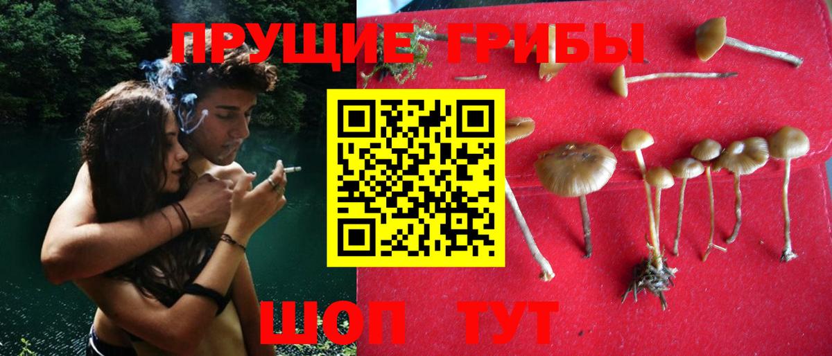 Псилоцибиновые грибы Magic Shrooms Ейск