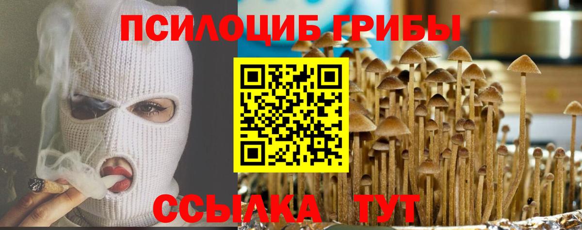 Галлюциногенные грибы прущие грибы  Псилоцибиновые грибы Magic Shrooms  Ейск  Вход с VPN 
